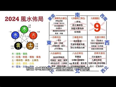 扁柏樹風水|2024年扁柏樹風水佈局全攻略